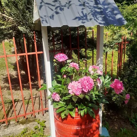 Mahala One Apartamento